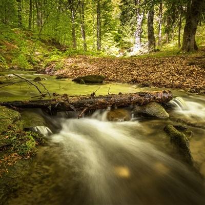 亚搏apo官网下载